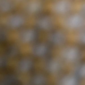 Meet your Posher, Tarah